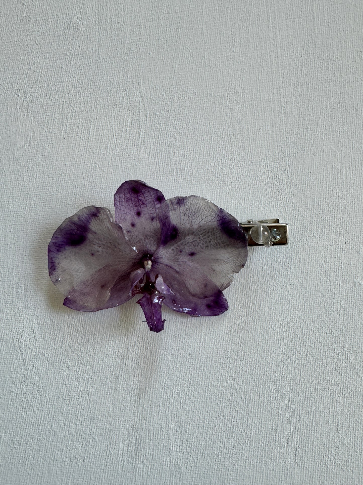 Orchid Clip #1