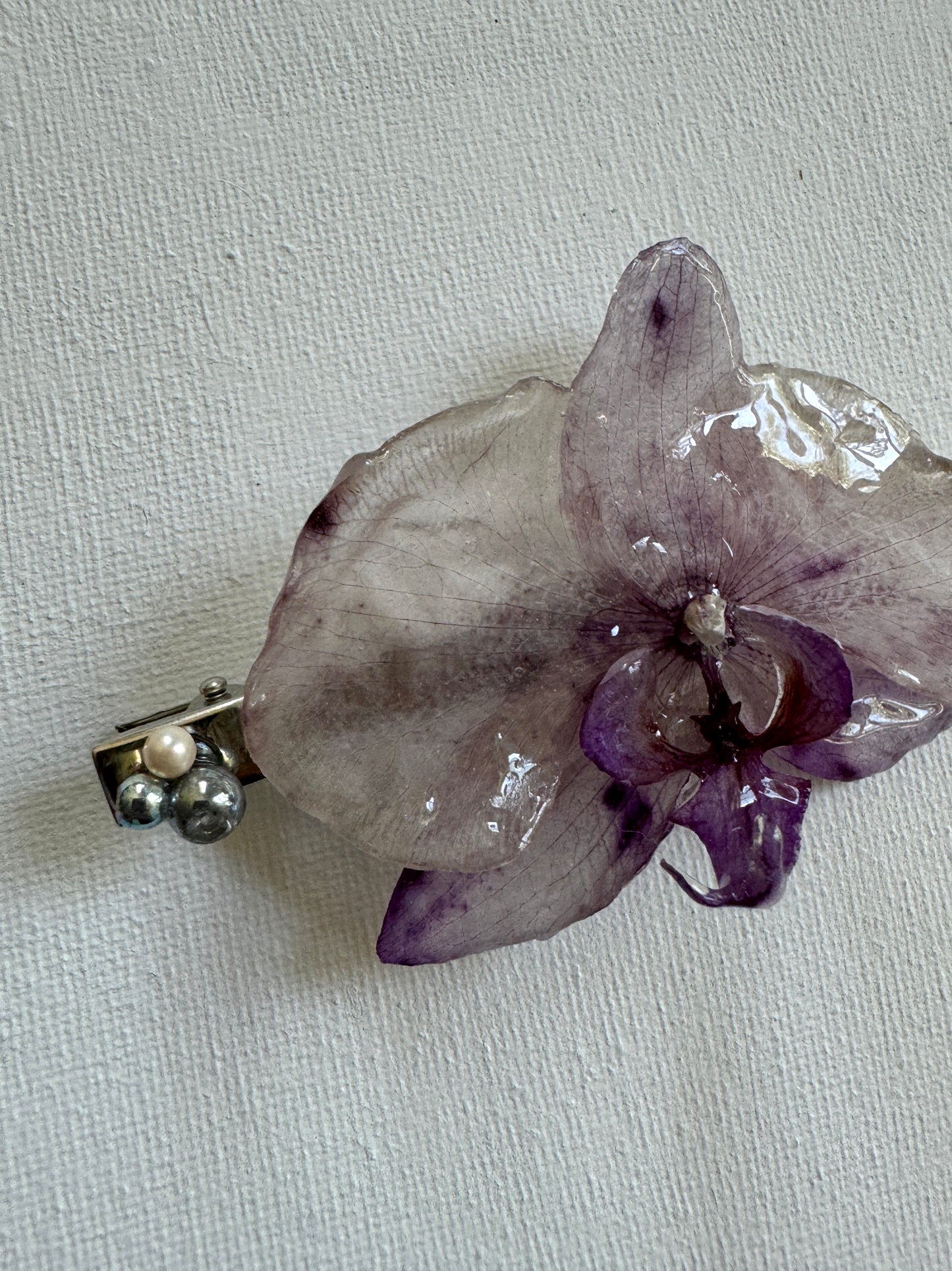 Orchid Clip #2